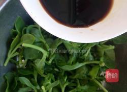 凉拌穿心莲的做法图解4