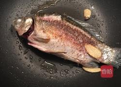 鲫鱼豆腐汤的做法图解3