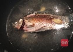 鲫鱼豆腐汤的做法图解4
