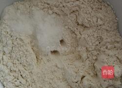 鲜肉小笼包的做法图解2