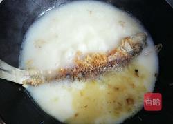 奶白鲫鱼豆腐汤的做法图解7