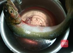 潮汕手打鱼丸的做法图解1