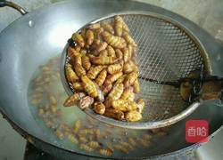 香辣开边蚕蛹的做法图解4