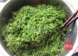 茴香苗素水饺的做法图解7