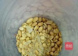 原味果仁露的做法图解1