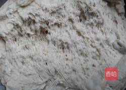 圆白菜馅包子的做法图解1