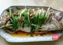 清蒸鲈鱼的做法图解10