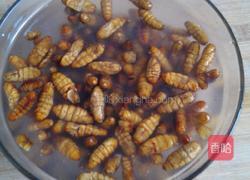 干煸茧蛹的做法图解1