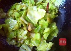 蚝油手撕包菜的做法图解6