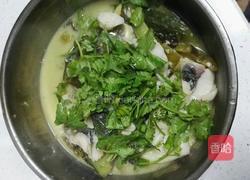 酸菜鱼的做法图解10