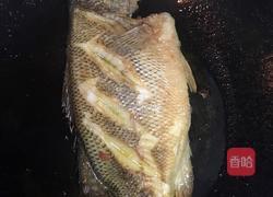 焖海鲈鱼的做法图解3