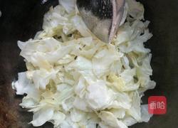 爆炒卷心菜的做法图解5