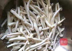 肉炒蘑菇的做法图解2