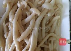 肉炒蘑菇的做法图解4