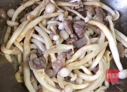 肉炒蘑菇的做法图解8