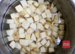 鸡块炖土豆的做法图解4