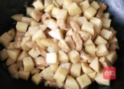 鸡块炖土豆的做法图解13