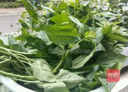 上汤辣椒叶的做法图解2