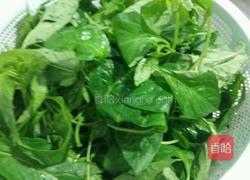 上汤辣椒叶的做法图解3