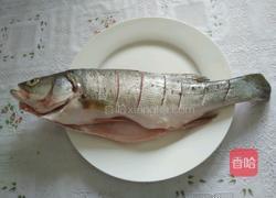 红烧鲈鱼的做法图解2