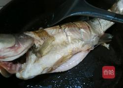 红烧鲈鱼的做法图解3