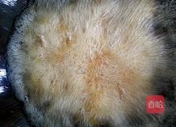 泡椒牛蛙的做法图解8