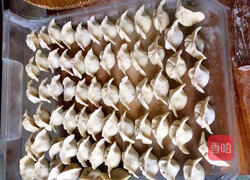 包饺子的做法图解7