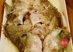 红烧鲈鱼的做法图解8