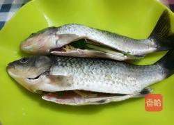 清炖鲫鱼汤的做法图解4