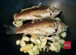 清炖鲫鱼汤的做法图解7