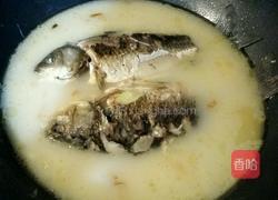 清炖鲫鱼汤的做法图解9