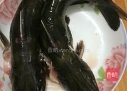 清蒸黄骨鱼的做法图解1