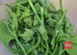 水煮南瓜苗的做法图解1