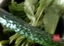 小白菜拌黄瓜的做法图解1
