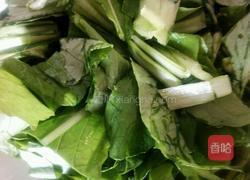 小白菜拌黄瓜的做法图解3