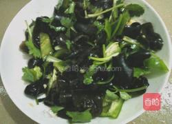 凉拌云耳的做法图解6