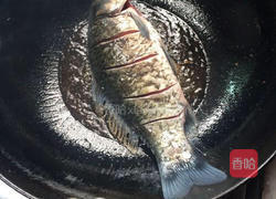 鲫鱼西红柿汤的做法图解2