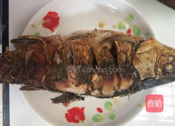 鲫鱼西红柿汤的做法图解3