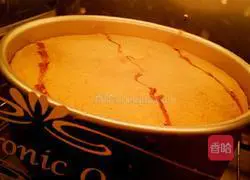 Whole Egg Sponge Cake Recipe Illustration 4