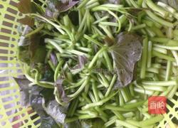 炒红薯梗的做法图解2