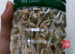 自制绿豆芽的做法图解6