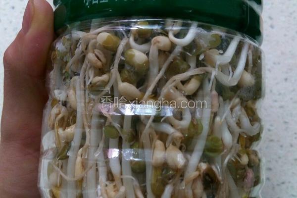 自制绿豆芽