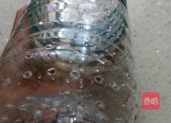 自制绿豆芽的做法图解2