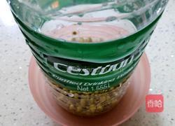 自制绿豆芽的做法图解3