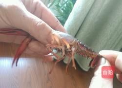 麻辣龙虾尾的做法图解3