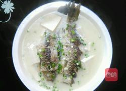 清炖鲫鱼的做法图解4