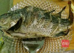 小蕃茄烧罗非鱼的做法图解5