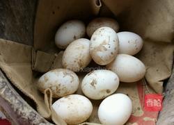 腌鸭蛋的做法图解1