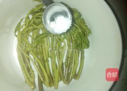 腌制香椿芽的做法图解6