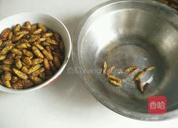 香酥开边蚕蛹的做法图解4